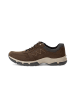 Pius Gabor Sneaker low in braun