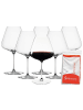 Spiegelau 6er Set Burgundergläser + Poliertuch Definition in 960 ml in transparent