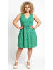Shape Of You Kleid in Grün