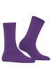 Falke Socken Cosy Wool in Petunia
