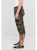 Brandit Shorts in olive camo