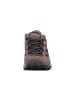 LOWA Wanderschuh Sirkos Evo GTX Lo in Beige