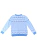 Cerda Weihnachtspullover Bluey in Hellblau