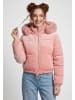 taddy Women Jacket in Rose