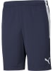 Puma Sporthose "TeamLIGA Training Shorts" in Blau