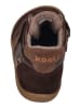 KOEL Sneaker High DANIEL 3.0 SUEDE in braun