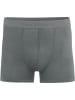 normani 12 Herren Viskose-Boxershorts in Hellgrau