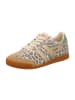 Gola Sneaker Low in Grau