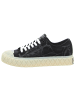 Palladium Sneaker Low in schwarz