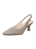 Gabor Slingpumps in Beige