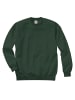 Fruit of the Loom Sweatshirt in tannengrün