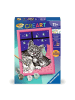Ravensburger Ravensburger Malprodukte Schlafende Katzen in bunt