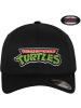 Teenage Mutant Ninja Turtles Cap in Schwarz