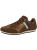 Pantofola D'Oro Sneaker low Lucca Uomo Low in braun