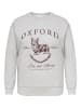 ONLY Carmakoma Sweatshirt in Light Grey Melange