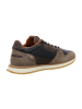Cetti Sneaker Low in Braun