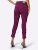 ascari Edel-Jeans in malve