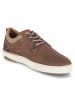 Bullboxer Schuh in brown