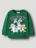 name it Sweatshirt in Verdant Green1
