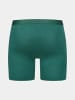 Erlich Textil  LIGHT TOUCH LANGE PANTS IM 3er PACK in waldgrün