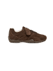 Geox Sneakers Low SNAKE MAN in braun