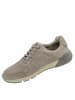 Pius Gabor Sneaker Low in beige