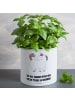 Mr. & Mrs. Panda XL Blumentopf Einhorn Stolzieren mit Spruch in Weiß
