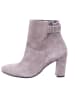 Paul Green Stiefeletten in beige