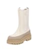 Calvin Klein Stiefeletten in eggshell/Travertine