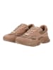Steve Madden Sneaker FRONT ROW in Tan