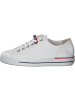 Paul Green Sneakers Low in White