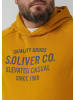s.Oliver Sweatshirt in 16D1_goldgelb