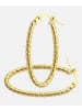 Vanlere Creolen aus 375 Gelbgold