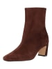 Steve Madden Stiefelette WILLAH Braun