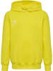 Hummel Hummel Kapuzenpullover Hmlgo Multisport Unisex Kinder in BLAZING YELLOW