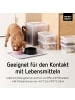 SmartStore 3er-Set Aufbewahrungsbox Classic Transparent 1L