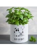 Mr. & Mrs. Panda Blumentopf Groß Panda Geburtstag mit Spruch in Weiß