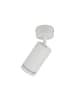 Licht-Erlebnisse Spot Strahler (B)5.5 x (L)15.5 x (H)13.5 cm in WeißWeiß
