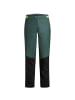 Vaude MENS ALL YEARMOAB 2IN1 RAIN PANTS in Grün