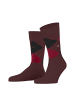 Burlington Socken 2er Pack in Rot/Schwarz