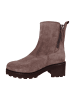 Gabor Stiefeletten grau