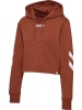 Hummel Hummel Hoodie Hmllegacy Damen in ARABIAN SPICE