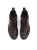 Kazar Chelsea Boots in Braun