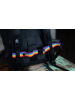 Airpaq Airpaq Rucksack Rolltop Pride 3.0 inkl. Brustgurt