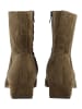 Steve Madden Stiefelette DUSTY in Oliv