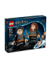 LEGO Harry Potter™ 76393 Harry Potter™ & Hermine Granger™