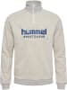 Hummel Hummel Reißverschluss Sweatshirt Raglanärmel Hmllgc Ron Herren in TOFU MELANGE