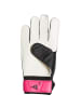 adidas Performance Torwarthandschuh Predator Training in schwarz / pink