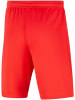 Nike Shorts für Jungen in uni