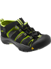 Keen Newport H2 Sandale in Schwarz